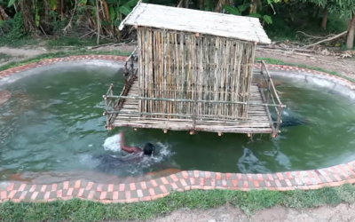 Hand Digging A Swimming Pool Around A Bamboo House